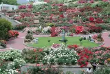 かのやばら園