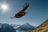 First Glider
