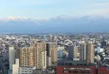 富山市役所展望塔