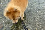倉敷ダム