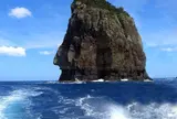 ナポレオン岩