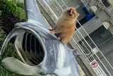 海洋博公園