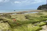 ニライビーチ