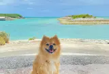 Shikiya Beach