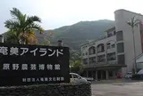 奄美アイランド