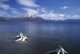 支笏湖