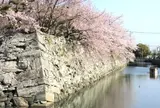 徳島中央公園