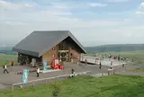 ナイタイ高原牧場