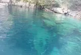 仁淀川アウトドアセンター