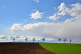 メルヘンの丘