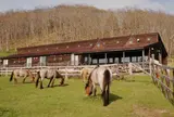 鶴居どさんこ牧場