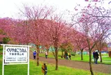 栗山公園