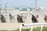 帯広競馬場（ばんえい十勝）