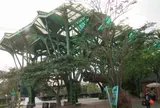 丟丟当森林公園