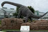福井駅 西口広場（恐竜広場）