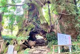 生樹の御門