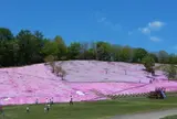 太陽の丘えんがる公園