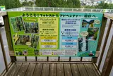 フォレストアドベンチャー・祖谷