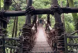 祖谷のかずら橋