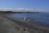 砂崎海岸