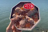 鳥の海ふれあい市場