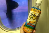 新千歳空港