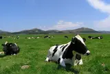 渡辺体験牧場