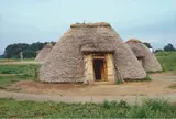 三内丸山遺跡 竪穴建物（復元）