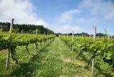 モンガク谷ワイナリー