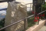 残念石
