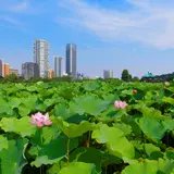 【上野 観光スポット29選】定番の上野恩賜公園からアメ横、谷中ぎんざまで見どころをご紹介
