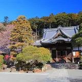 修善寺温泉旅行ガイド！人気エリアや見どころ・アクセス情報が満載！