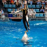 暑い夏のおでかけに！屋内で楽しめる都内の水族館・イベントまとめ
