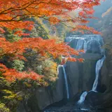 茨城旅行ガイド！人気エリアや見どころ・アクセス情報が満載！
