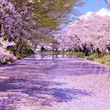 青森旅行ガイド！人気エリアや見どころ・アクセス情報が満載！ 