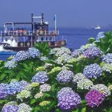 今週末（6/16,17）のおすすめイベント５選！関東編