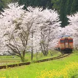 千葉旅行ガイド！人気エリアや見どころ・アクセス情報が満載！