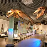 【国立科学博物館の楽しみ方完全ガイド】親子で学べる体験型ミュージアム！