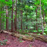 【円山公園の楽しみ方完全ガイド】札幌の自然スポット！登山コースやイベントなど見どころまとめ