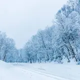 【北海道観光】2020年1･2･3月はここをチェック！