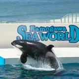【鴨川シーワールドの楽しみ方完全ガイド】水族館の見どころやおすすめのショーなど魅力を大紹介