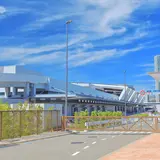 豊洲市場の営業日・休市日の情報