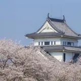 【宮崎観光】3月はここをチェック！