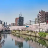 【神奈川観光】3月はここをチェック！ 