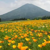 【宮崎観光】4月はここをチェック!