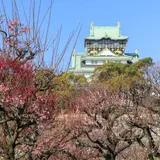 【大阪観光】3月はここをチェック！