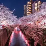 【東京観光】4月はここをチェック！