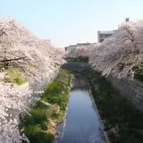 【名古屋観光】4月はここをチェック！