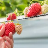 【福岡観光】3月はここをチェック！