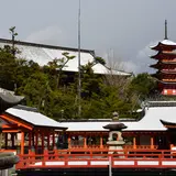 【広島観光】2月はここをチェック！